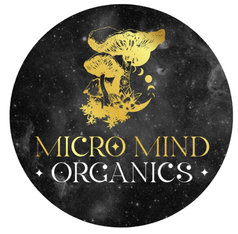 Micro Mind Mushroom